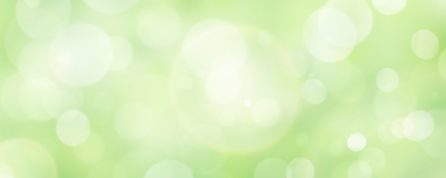 A fresh spring green garden foliage background with blurred bokeh.