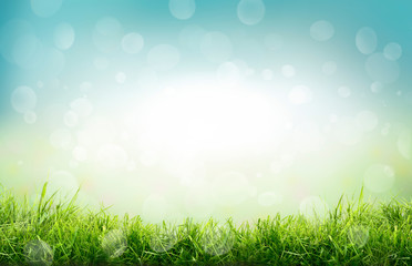 Obraz premium Naturalne tło ogród wiosna świeżej zielonej trawie i niewyraźne błękitne niebo bokeh