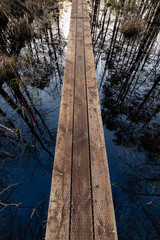 Typical narrow wooden manmade pathway for access of estonians and tourists on the Estonian bog, forest reflections in the dark scary wetland water