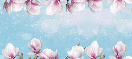 Beautiful flourish magnolia blossoms with blue sky, sunshine, bokeh