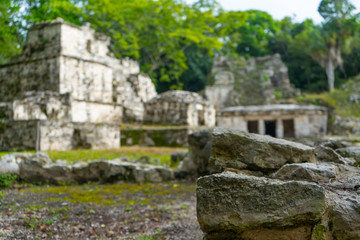 Fototapeta na wymiar Ruins of ancient Muyil. Architecture of ancient maya. View with temple and other old buildings, houses. Blue sky and lush greenery of nature. travel photo. Wallpaper or background. Yucatan. Mexico.