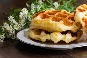 Waffle on background in studio