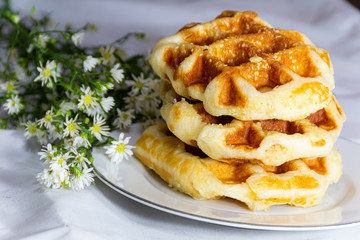 Waffle on background in studio