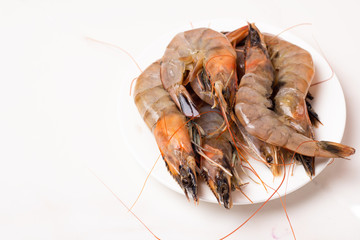shrimp on white background
