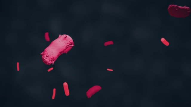 colorized scanning micrograph of some bacillus and viruses, 3D render animation of microorganism with glitch effect 