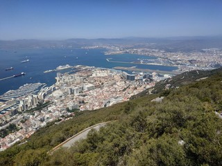 Obraz premium Monkey on panoramic view on the Gibraltar and Big Rock at sunny summer weather