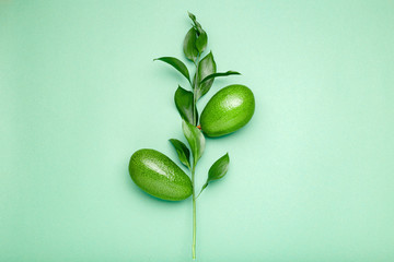 Fresh ripe organic green avocados on sprout with leaves on color background, top view summer food concept. Minimal flat lay style avocado whole fruit on mint green background with copy space for text.