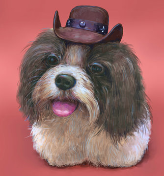 illustration painting of the dog shisu , Drawing ,Hand drawn home pet.digital art style.