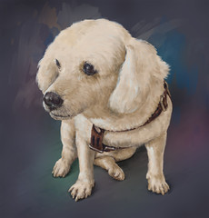 illustration painting of the dog , Drawing ,Hand drawn home pet.digital art style