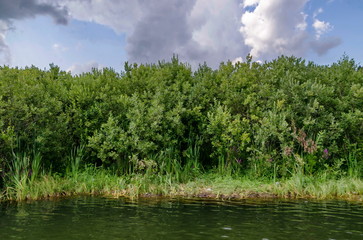 Landscape by Vlasinsko lake in Sarbia