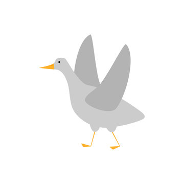 Goose bird in flat style isolated on white background. Funny cartoon character.