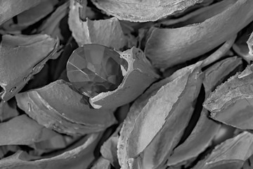 abstract background of texture