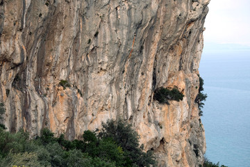 Fragment of high vertical impregnable cliff with poor mountain vegetation and calm sea far and down on skyline on bright sunny day horizontal view