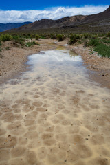 The Death Valley Landscape after a harsh rainstorm