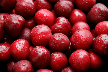 cherries on a white background