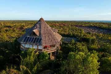 tree house in Paje, Jozani