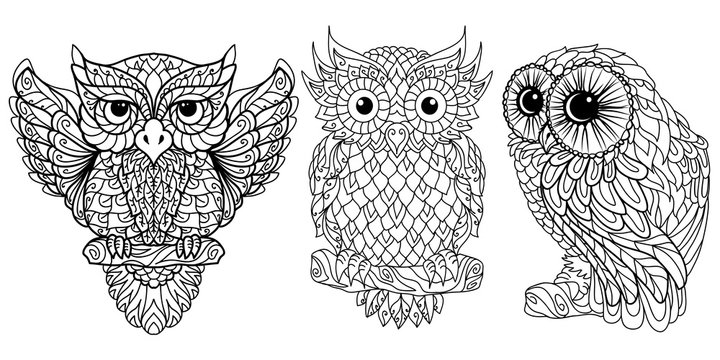 Owl. Coloring. A graphic black-and-white image of a set of three different owls on a white background.