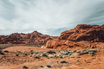 Beautiful summer day in  Valley of fire State park in Nevada