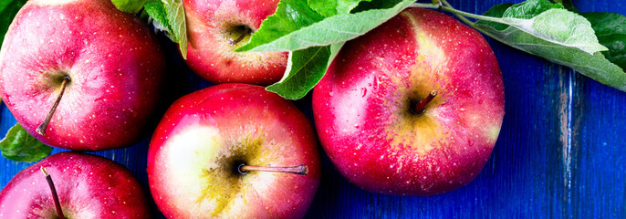 Banner of Red apples on blue wooden background.