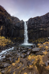 Svartifoss Waterfall in Skaftafell national park (Iceland)