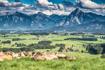 Germany, Bavaria, Allgaeu alps, Eisenberg castle, mountain view to Tegelberg and Säuling