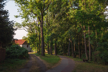 Weg zwischen Bäumen im Dorf