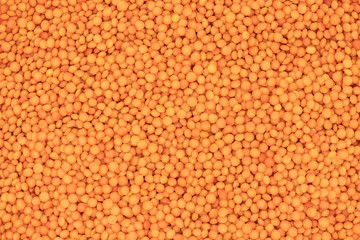 Abstract background made of red lentils