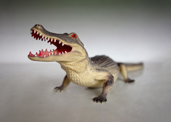 Obraz premium Figure of crocodile made of plastic close-up open mouth with terrible teeth. Children's games or collecting. Close up. Selective focus.