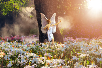 Beautiful  angel in a paradise magic garden with white and pink  lilies. Valentine's day greeting...
