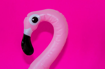 pink flamingo on white background