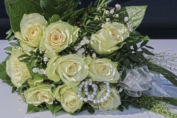 Cremefarbene Rosen