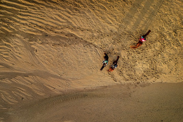 Aerial view Riding Horse 