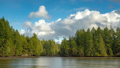 Fototapeta na wymiar Eld Inlet Along Puget Sound, Olympia, Washington