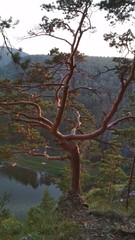 Beautiful view from the mountains to the river