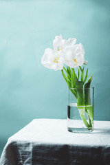 Tulip flowers in a  glass vase on table  with  space for text.