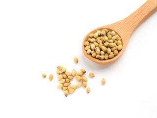 Spice coriander (Coriandrum sativum) seeds in wooden spoon isolated on white background. Diet and...
