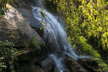 waterfall in forest
