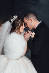Gentle touch of the groom to the bride, walk in evening. Bride. The first kiss of a newly formed wedding family. Beautiful bride and handsome man groom kissing. Winter wedding