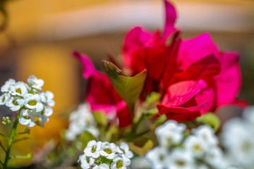 bouquet of flowers
