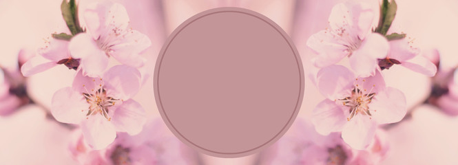 Banner design with circle  -  pink flowers background
