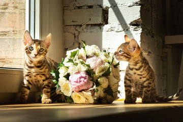 Bengal kittens standing on table near bouquet of flowers