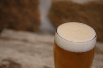 birra