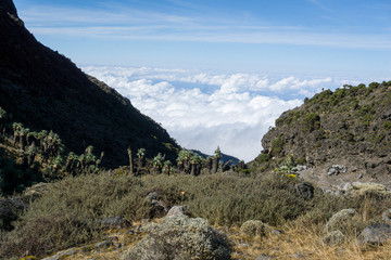 summit of Mount Kilimanjaro (highest mountain of Africa at 5895m amsl) in Tanzania