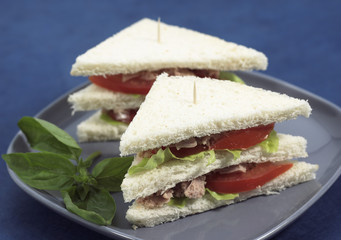 SANDWICH