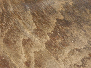 texture of wood