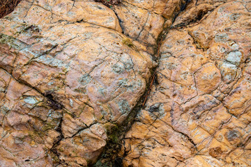 まだら模様の岩