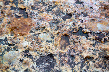 まだら模様の岩