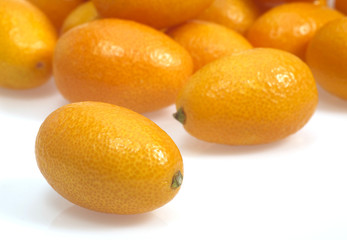 KUMQUAT