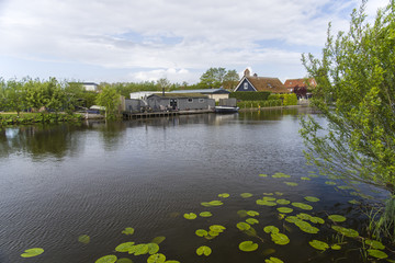 Obraz premium Panoramic view of netherlands rural landscape