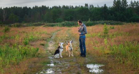 Young guy training dogs in countryside at nature